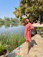 Dheengli Dress