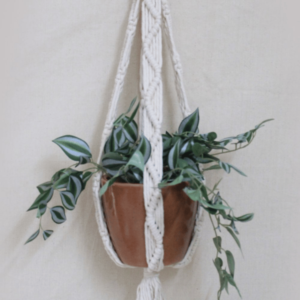 Designer Macramé Hanging Planter