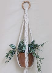 Designer Macramé Hanging Planter