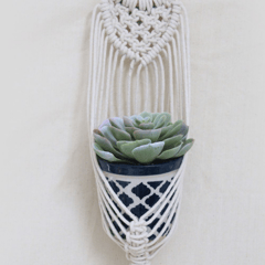 Bohemian Macramé Plant Hanger