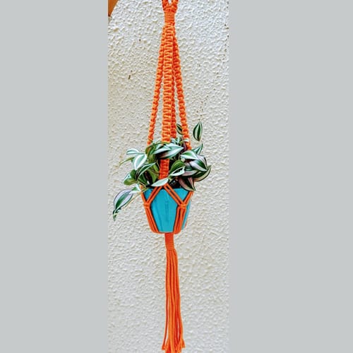 Macrame Cotton Plant Hanger - Orange