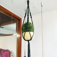 Combo of 4 Hanging Planter (Orange, Khaki, Green, Pink)