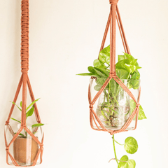 Classic Hand-Knotted Plant Hanger