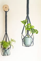 Classic Hand-Knotted Plant Hanger