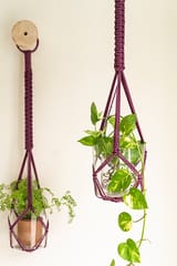 Classic Hand-Knotted Plant Hanger