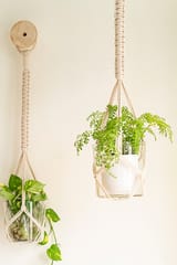 Classic Hand-Knotted Plant Hanger