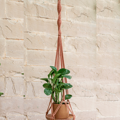 Meander Hand-Knotted Plant Hanger