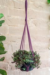 Meander Hand-Knotted Plant Hanger