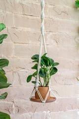 Meander Hand-Knotted Plant Hanger