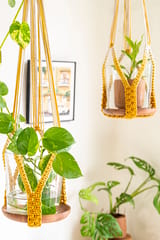 Ombre Interlaced Hand-Knotted Plant Hanger