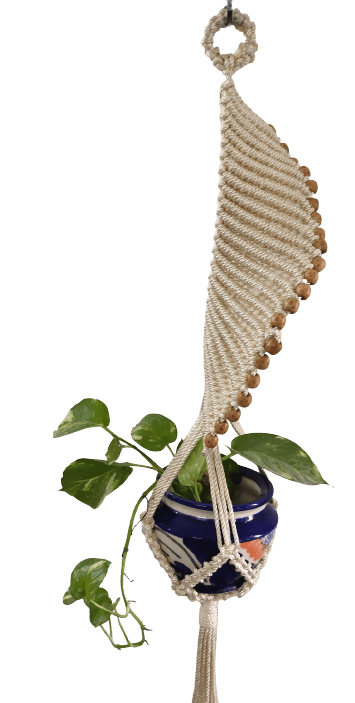 Spiral plant hanger