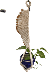 Spiral plant hanger