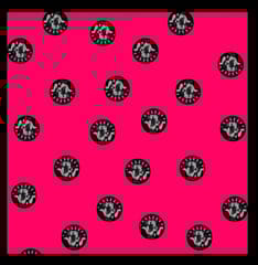 Silk Scarf
