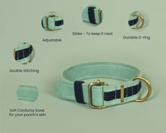 Skin Friendly Corduroy Dog Collar