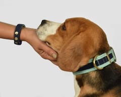 Matching Set Corduroy Dog Collar with Bond Band For Human