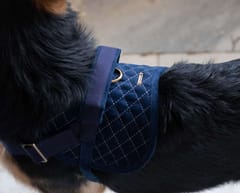 Corduroy and Canvas Harness for Dog