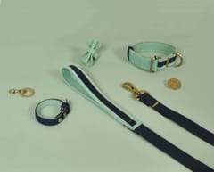 Curated Gifting Kit - A Complete Dog Set