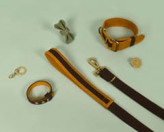 Curated Gifting Kit - A Complete Dog Set