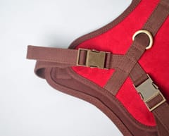 Corduroy Cotton and Canvas C Harness for Dog