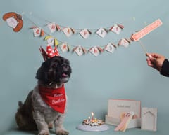 Crafty DIY Dog Birthday Kit