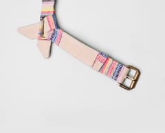 Handloom Cotton Party Bowtie Dog Collar - Playful