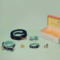 Curated Gifting Kit - A Complete Dog Set