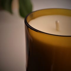 Upcycled Beer Bottle Frangipani Candle