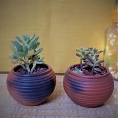Terracotta & Jute Hanging cum Desktop Planters Round - Set of 2