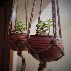 Terracotta & Jute Hanging cum Desktop Planters Round - Set of 2