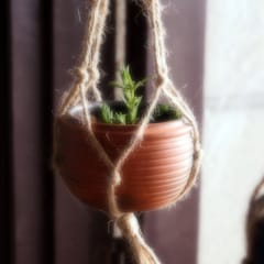 Terracotta & Jute Hanging cum Desktop Planters - Set of 2