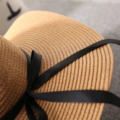 Brown Beach Straw Hat