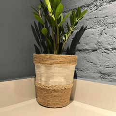 Designer Tri Tone with Fringe Planter