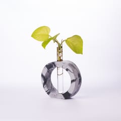 Round Test Tube Planter