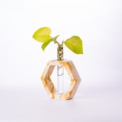 Hexagon Test Tube Planter