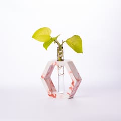 Hexagon Test Tube Planter