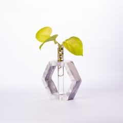 Hexagon Test Tube Planter