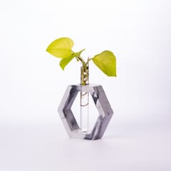 Hexagon Test Tube Planter