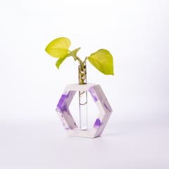 Hexagon Test Tube Planter