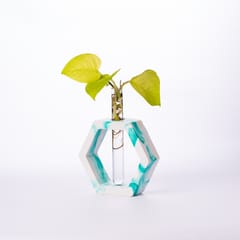 Hexagon Test Tube Planter