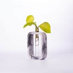 Rectangle Test Tube Planter