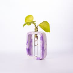 Rectangle Test Tube Planter