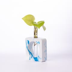 Square Test Tube Planter