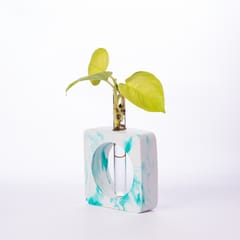 Square Test Tube Planter