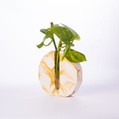 Dodecagon Test Tube Planter