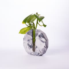 Dodecagon Test Tube Planter