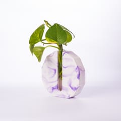 Dodecagon Test Tube Planter