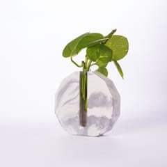 Dodecagon Test Tube Planter